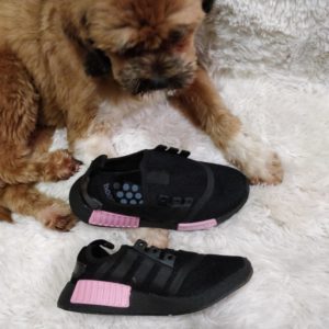 Tênis Adidas Boost Preto