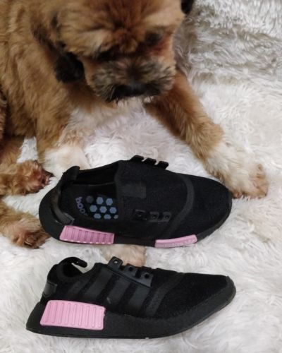 Tênis Adidas Boost Preto